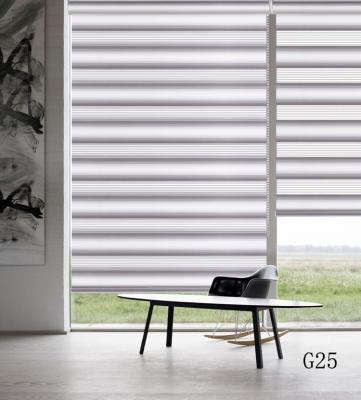 China High Quality Home Decoration chicology zebra blinds motorized for window for sale