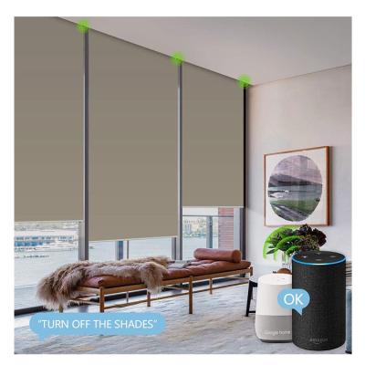 China Eco-friendly oil/waterproof smart home speaker APP bluetooth control tubular google motorized roller blinds blackout for sale