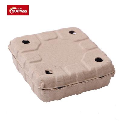 China Biodegradable Biodegradable Fruit Tray Eco Green Biodegradable Fruit Tray Disposable Food Paper Pulp Fruit Packaging Square Boxes for sale