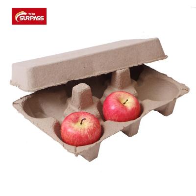 China Biodegradable Fruit Tray Eco Green Biodegradable Fruit Tray Disposable Food Paper Rectangle Biodegradable Takeout Boxes Packaging Fruit Pulp for sale