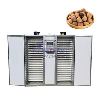 China Medicine Processing Drier Machine China High Quality Food Fruit Dehydrator Ginger Drying Oven Price for sale