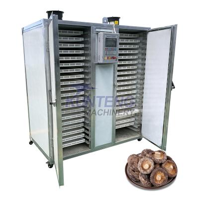 China Medicine Curing Hot SALE Electric Heating Oven Small Scale Pasta Dehydrator Fan-assisted Drying Machine for sale