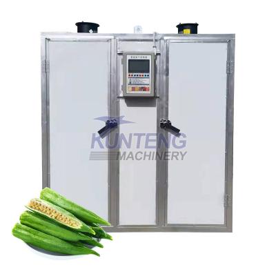 China Medicine Curing Leafy Vegetable Dehydrator Fruit Dryer Machine Assembly Laboratory Drying Oven China Manufacture for sale