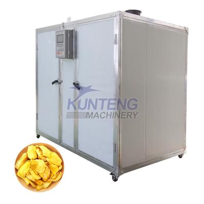 China Medicine Processing High Temperature Electric Iced Fruit Dryer Machine Food Drying Oven Home Dehydrator for sale