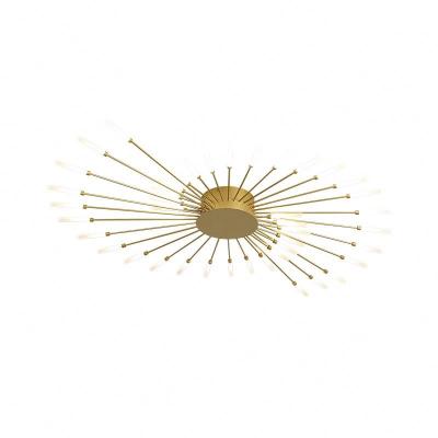 China Fashion Hotel Living Room Metal Chandelier Outdoor Mounted Size Acrylic Firework Creative Gold Shape Bedroom Large Led Ceiling Lamp for sale