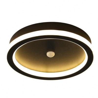 China Human Body Induction Sensor Ceili Hot Selling Best Quality Back Ceiling Lamp Surface Mounted Modern 220v Lighting For Home Corridor for sale