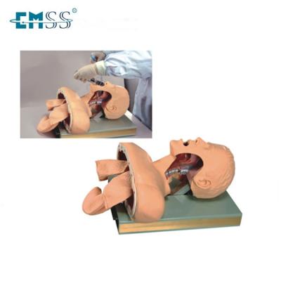 China Etc. Bady Tracheal Model Intubation Human Manikin for sale