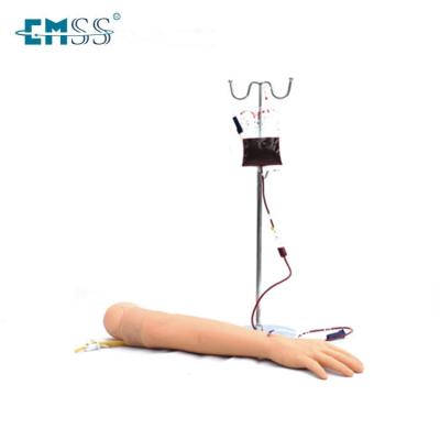 China Etc. EM-018 advanced arm vein puncture and intramuscular injection training model for sale