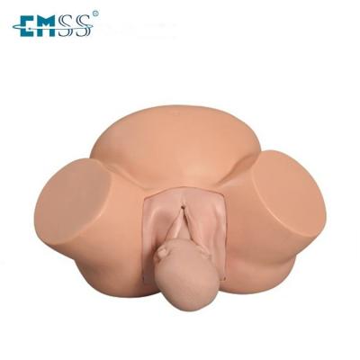 China Female Pelvic Nurse Schools EM-021 Obstetrics Training Model for sale