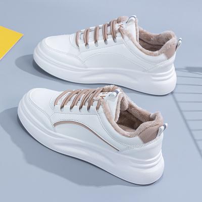 China CUSHIONING Spring and Autumn New Mesh SneakersKorean version Flat-bottom casual students Korean version of running shoes for sale