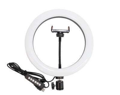 China Ring Live Light with Remote Controller LED Ring Light 24W 5500K Photography USB/13/12/11/10/8/6 inch studio plug for sale