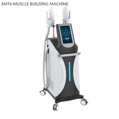 China Skin Tightening Real Factory 2020 Hot Muscle Stimulator EMS Sculpt Muscle Building And Fat Remove Machine No Downtime for sale