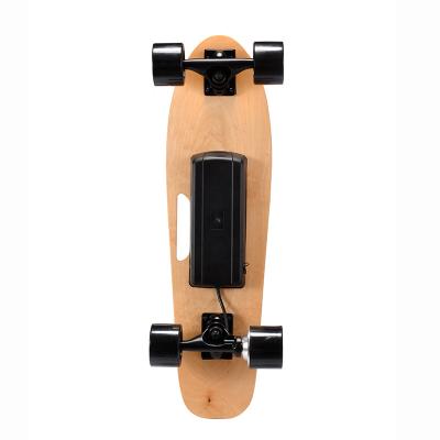 China Long Board Unisex Professional Portable Four Wheel Electric Skateboard Skateboard Cheap Price for sale