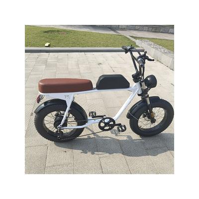 China Torque Sensor Electric Dirt Bike Snow/Desert/Mountain Foldable Off-Road City/City Big Tire Dirt Ebike for sale