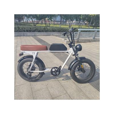 China Best Snow/Desert/Mountain/City Selling Detachable Electric Bicycle Torque Sensor Folding Tire 7 Speed ​​e Fat Bike for sale