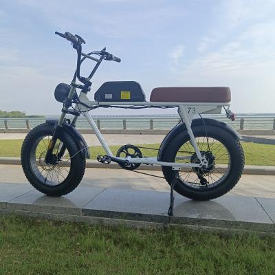 China Warehouse European steel EP-2 PRO 750w engwe electric bicycle parts which is fat cycle or tire bicycle with fat tire for sale