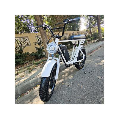 China Mountain/Snow/City Electric Bikes Smart Controller Moped Fat Tire 1000w e Bike Hub Wide Range Moter for sale