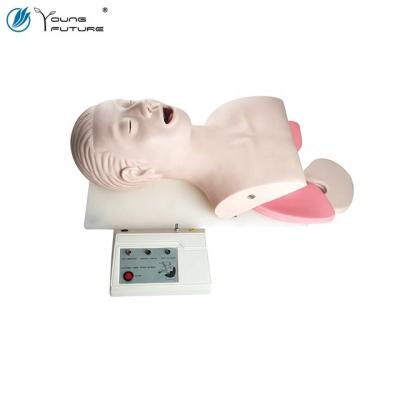 China Realistic contact intubation electronic endotracheal model for sale