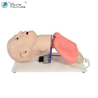 China Realistic Contact Advance Intubation Endotracheal Training Model for sale