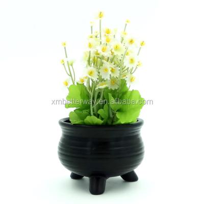 China Cheap Cute Succulent Garden Pots Black Mini Morden Flower Pots Small Plant Ceramic Succulent Planter Pot And Planters Pot Pots for sale