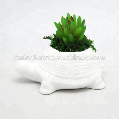 China Cute Animal Ceramic Succulent Planter Desktop Cute Turtle Flowerpot Mini Ornament for sale