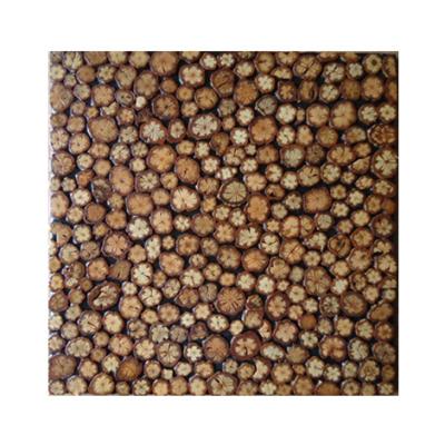 China Interior Living Room Art Decor Wall Panels Stone Modern Trendy Walnut ABC Style Mosaic Wall Tile Dining Room for sale