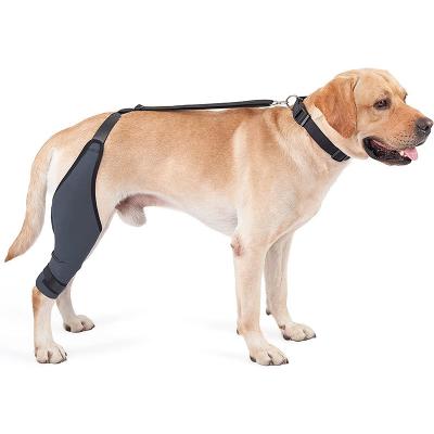 China Hind Leg Injury Auxiliary Belt Dog Gear Pet Postoperative Sheath Dog Knee Support Rehabilitation Joint Viable Protective Leg Injury Belt for sale