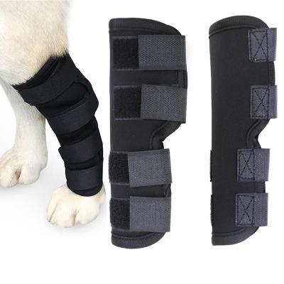 China Viable Postoperative Dog Knee Rehabilitation Pads Dog Pet Cover Device Outdoor Common Knee Pads for sale