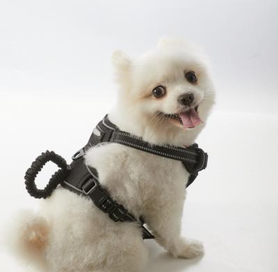 China Dog Vest Type Chest Harness Durable Cloth Material Anti Cut Free Pull Harness for sale