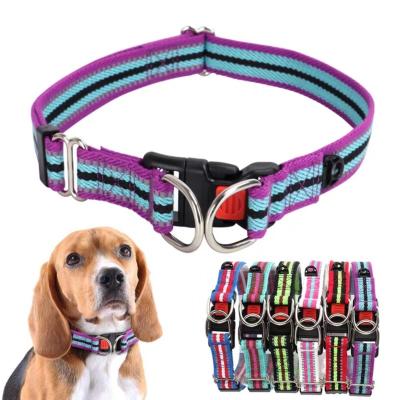 China Factory wholesale border color sliver reflective double D buckle pet collar reflective lock buckle dog collar for sale