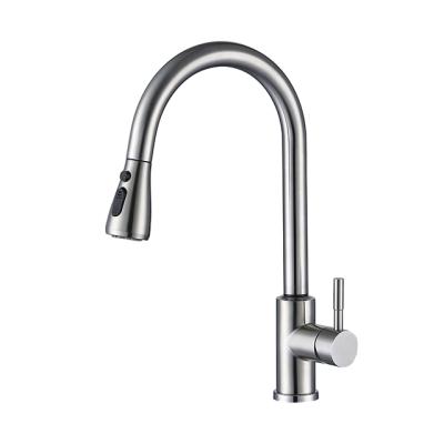 Cina Pull Down Sprayer Smart Modern Touchless 304 Stainless Steel Modern Transitional Kitchen Faucets in vendita