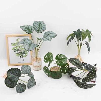 China Natural Touch Artificial Palm Plants Tropical Monstera Leaves Faux Turtle Tree Plant for sale