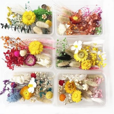 China New Classic/Postmodern Factory Accessories Dried Flower Material For Aromatherapy Candles Scattered To Flower Specimens Flores Head Fragmented Glue DIY for sale