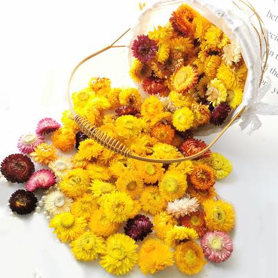 China Fashional Gift 50/100pcs Natural Colorful Chrysanthemum Dried Flower Heads For Home Party Wedding Centerpieces DIY Decor Preserved Flower for sale