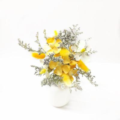 China Simple Life Manual Plants Layout Collocation Natural Photography 20cm Mini Dried Flower Bouquet Art DIY Props Gypsophila Home Decor for sale