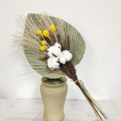 China Home Decoration Dried Reed Props Artificial Plant Wedding Pampas Grass Dekoration Reed Cotton Cattail Fan Natural Small Designs Props for sale