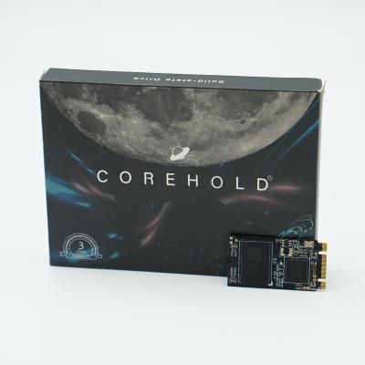 China Hot Sale NGFF M.2 Module SSD Corehold Custom Internal Hard Disk 128GB Hard Disk for sale