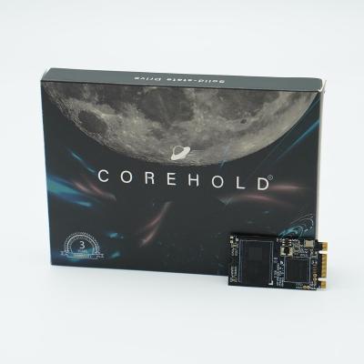 China Hot Sale NGFF M.2 Module SSD Corehold Custom Internal Hard Disk 128GB Hard Disk for sale