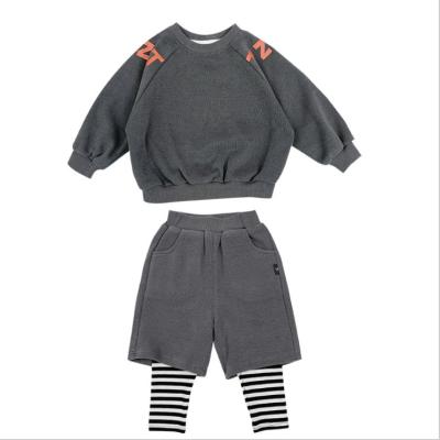 China Anti-wrinkle factory direct sale boy cotton hoodie pants sports sweatshirt 2 piece set for sale