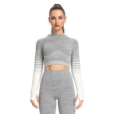 China Manufacturers Breathable Custom Amazon European And American Knit Stripe Crop Suit Tight Sports Long Sleeve Jacket Yoga Set for sale