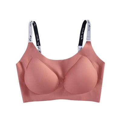 China High Quality Antibacterial No Trace Lift Up Teenage Cotton Bra Gather Women's Seamless Tube Bra Young Girls Upper Underwear for sale