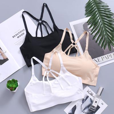 China Women Parachute Beauty Back Design Wrap Design Chest Viable Bras High Elastic Breathable Push Up Tube Top for sale