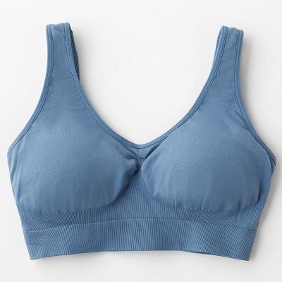 China Cheapest QUICK DRY in common quick dry seamless bra women padded lift up sports bra for sale