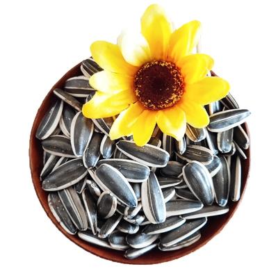 China Professional Supplier Factory Price Quality Wholesale Dry Top Best Price Raw Sunflower Seeds for sale