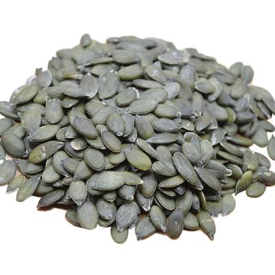 China Inner Mongolia China Fresh Hot Sale BRC Certified Best Quality GWS Pumpkin Seed Kernels for sale