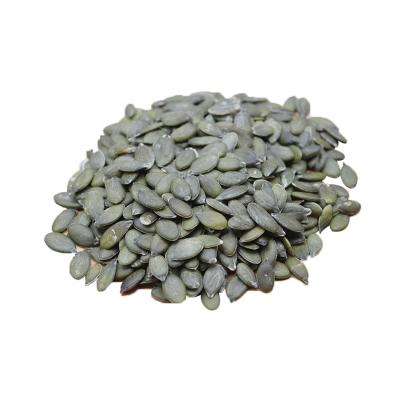 China Fresh Hot Sale China Inner Mongolia Grade Gws Pumpkin Seeds Gws High Quality Pumpkin Seeds for sale