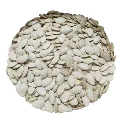 China Factory Price Dry Wholesale Premium Grade Halal Meat Certificated Inshell Premium White Shine Skin Pumpkin Seeds for sale