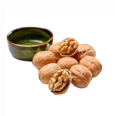 China Good Quality Bulk Large Size Raw Walnuts Hot Sales Fresh Healthy Food Raw Kernels for sale