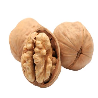 China Factory supply fresh pure natural delicious thin peel walnuts for sale