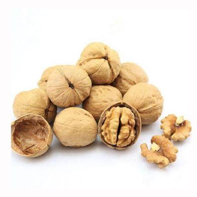 China Fresh Chinese Supply Pure Natural Delicious Thin Skin Inshell Walnuts for sale